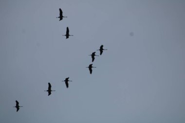 Dağlarda güzel bir gün doğumu