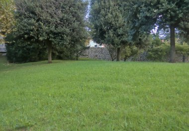 Arka planda çimenler ve ağaçlar var. Kilisenin içini çevreleyen eski bir duvar var..