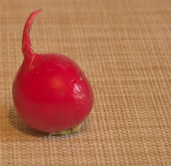 Vitamin açısından zengin ve sağlığa iyi gelen kırmızı bir turp.