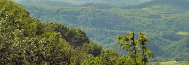 Yeşil renkleriyle Bask ülkesinin manzarası ve dağları.