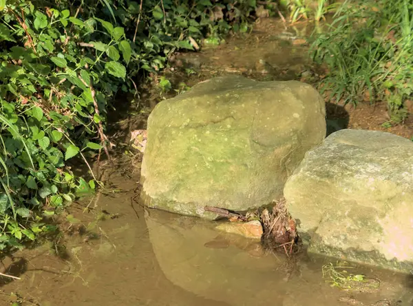 Küçük bir nehrin kıyısında iki büyük altın kaya.