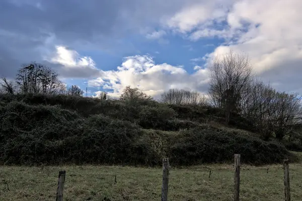 Şafakta gökyüzü dağ çayırlarının üzerinde
