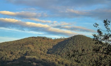 Yeşil renkleriyle Bask ülkesinin manzarası ve dağları.