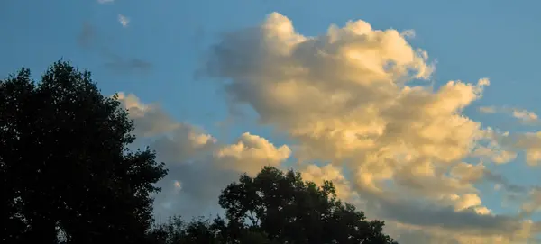 Gün batımında bulutlu ağaçların silueti dağda