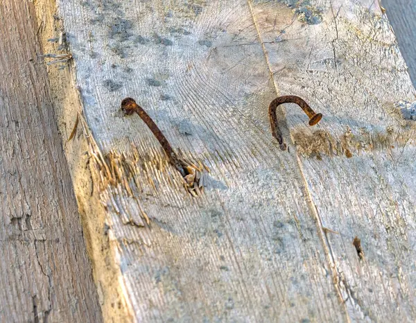 Eğri ve paslı çiviler bir tahta parçasına çivilenmiş.