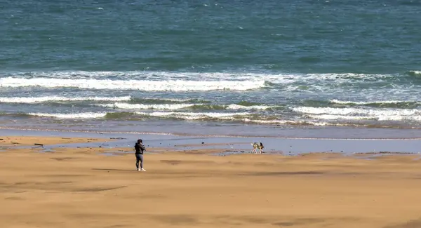 Kumsalda yürüyen bir kadın deniz kıyısında köpeğiyle cep telefonuna bakıyor.