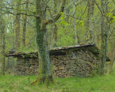 Dağlardaki eski taş kulübe çobanlar için bir sığınaktır.