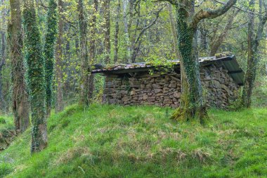 Dağlarda yüzyıllık bir taş sığınak çobanlar için kışlık barınak sağlıyor..