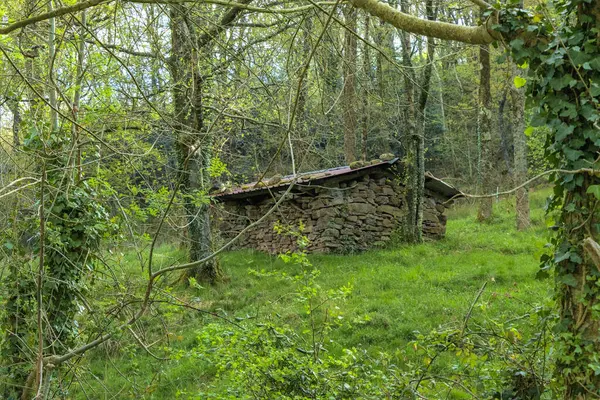 Dağlarda yuva yapmış büyüleyici, eski bir taş kulübe; bir zamanlar Bask çobanları tarafından kullanılan bir kış sığınağı..