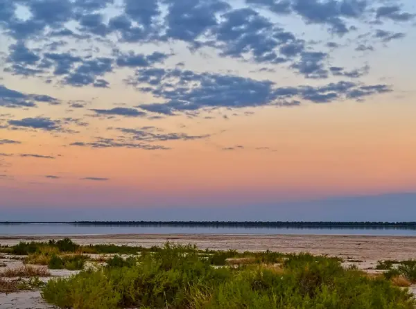 Paraguay Chaco Gölü düz manzaralı ve tuz ve organik maddeyle kaplı ince topraklar.