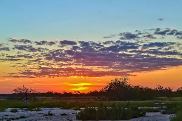 Paraguay Chaco 'sunda farklı tonlarda ve renklerde gökyüzü, vahşi yaşam ve bol bitki örtüsü olan bir yer.