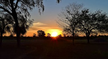 Büyüleyici bir günbatımı, Paraguay Chaco 'sunun engebeli arazisini altın ve kırmızı renklerle kaplar. Yerli ağaçların seyrek siluetleri ufuk boyunca uzanıyor ve arkalarında günün son ışığı kayboluyor. Kuru toprak ve solan yol derinlik ve c ekle