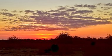 Paraguay Chaco 'sunda farklı tonlarda ve renklerde gökyüzü, vahşi yaşam ve bol bitki örtüsü olan bir yer.