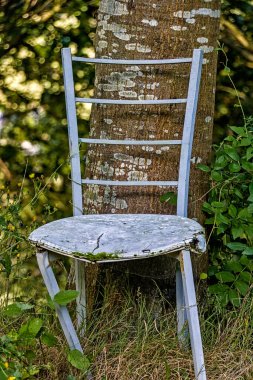Eski tahta sandalye beyaza boyanmış, yıpranmış ve yıpranmış, açık havada bir ağaca yaslanmış. Kır manzarası zamanı ve doğayı yansıtıyor. Klasik, kırsal ve yaşam tarzı temaları için ideal.