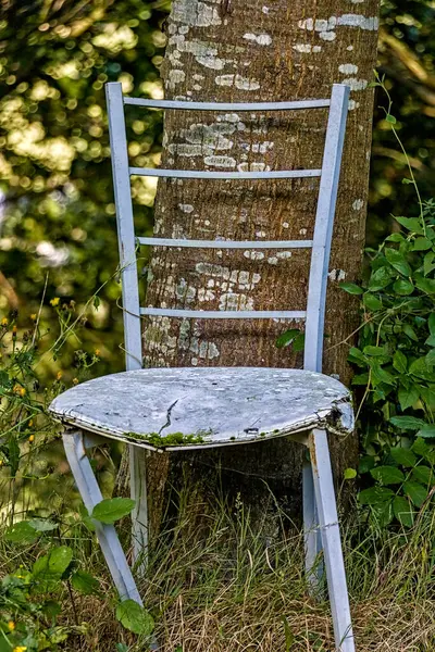 Eski tahta sandalye beyaza boyanmış, yıpranmış ve yıpranmış, açık havada bir ağaca yaslanmış. Kır manzarası zamanı ve doğayı yansıtıyor. Klasik, kırsal ve yaşam tarzı temaları için ideal.