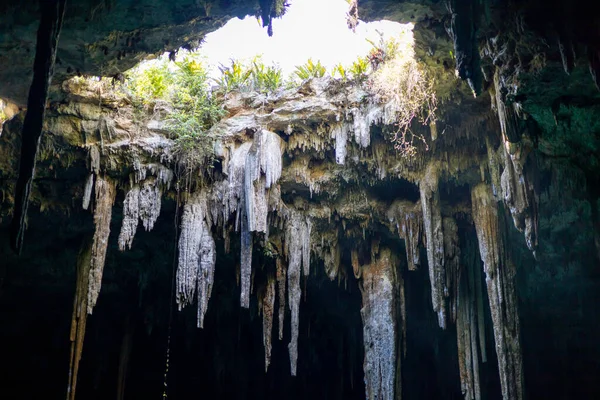 Meksika Valladolid yakınlarında Xcanahaltun sayımı. Yüksek kalite fotoğraf