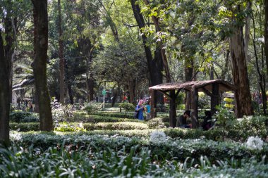Mexico City, Meksika, 07 Mayıs 2023: Mexico Meydanı 'ndaki insanlar. Yüksek kalite fotoğraf