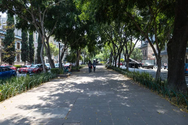 Mexico City, Meksika, Mayıs 07, 2023: Amsterdam Caddesi, La Condesa Mahallesi. Yüksek kalite fotoğraf