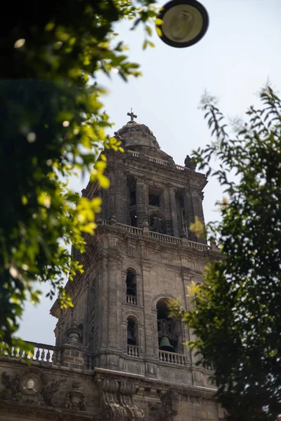 Mexico City 'deki Metropolitan Katedrali' nin ağaçların arkasındaki görüntüsü. Yüksek kalite fotoğraf