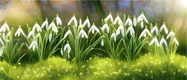 White snowy easter flowers with fresh green leaves in a spring sunny forest. Delicate snowdrops The first flower of spring symbols. Spring Easter concept.