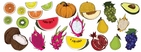ベクトルのグラフィック色の果物 — ストックベクタ