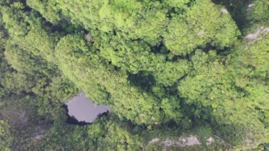Kireçtaşı kayaları olan tropikal adanın yukarıdan görünüşü, Maya Körfezi Phi Adaları, Krabi, Tayland