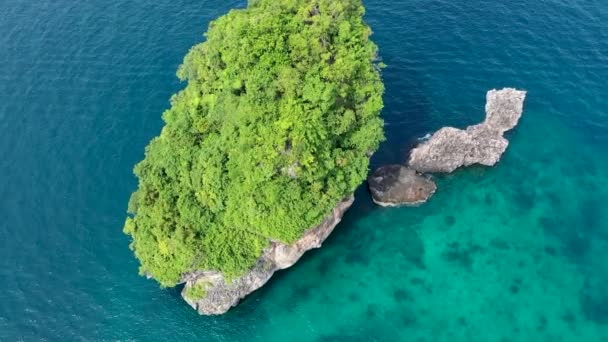 Drone Shot Paradise Island Green Limestone Cliffs Koh Phi Phi — Stock Video