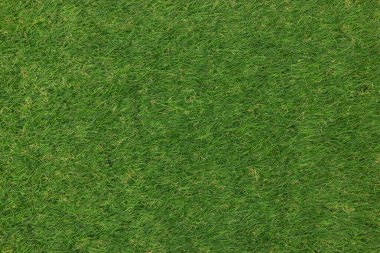 Parkın yapay çimen halı dokusu 