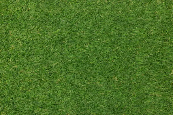 Parkın yapay çimen halı dokusu 