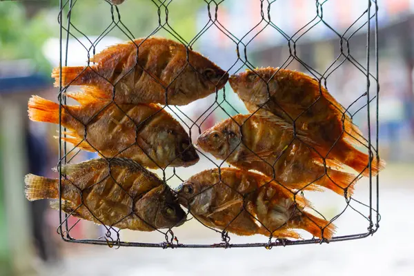 Tilapia balığı ya da Nila adlı nehir balıklarının yerel balık pazarında lezzetli bir tadı var.