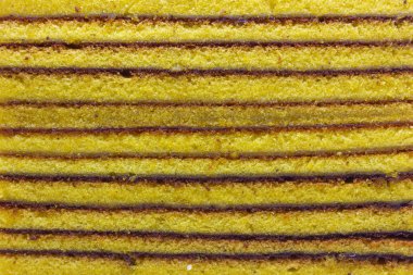 Spekkoek olarak da bilinen geleneksel Endonezya Lapis Legit pasta dokusunun yakın plan görüntüsü. Zengin, altın katmanlar belirgin bir şekilde görülebilir, ince ve karamelize çizgilerle ayrılmış..