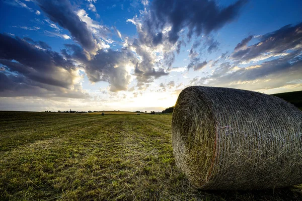 saman balyaları tarlada