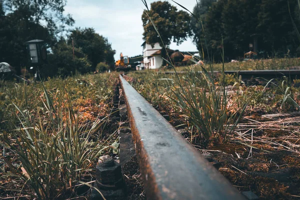 Ormandaki eski terk edilmiş tren rayları.