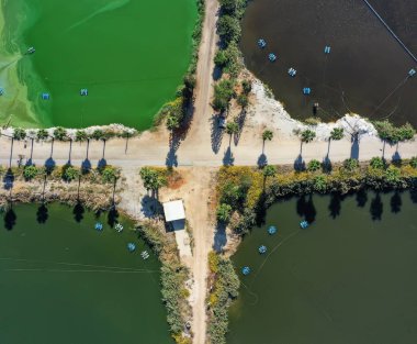 kibbuz Maagan michel israil