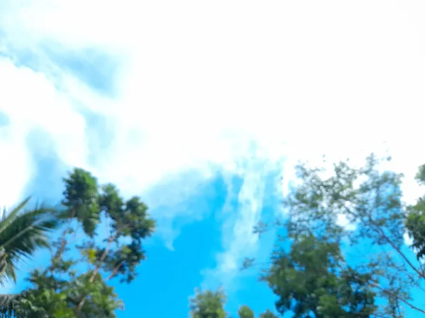 Verschwommenes Foto Der Schönen Natur Grüne Bäume Vor Blauem Himmel — Stockfoto