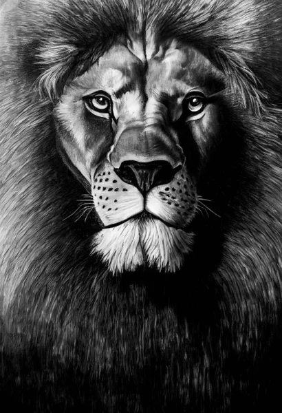 Черно Белый Портрет Льва — стоковое фото
