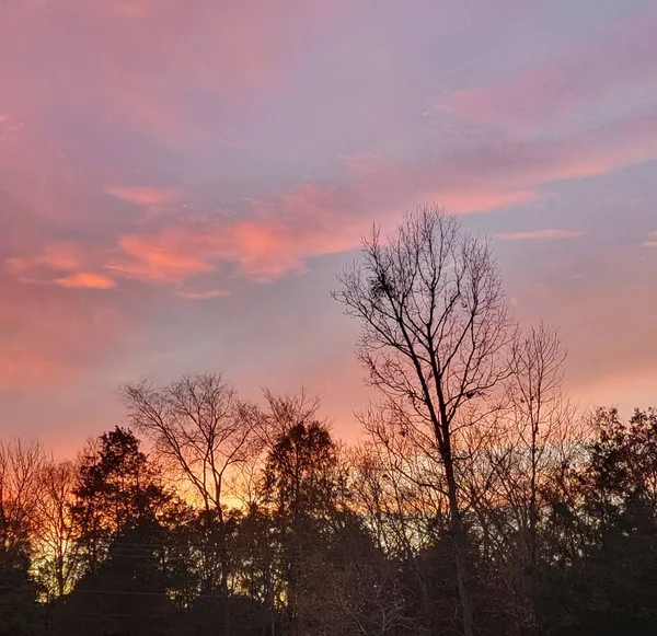 Vacker Solnedgång Himlen Med Träd — Stockfoto