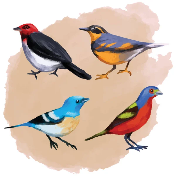 Набір Барвистих Акварельних Птахів Ізольовані Білому Тлі Натуральна Ілюстрація Колекція — стоковий вектор