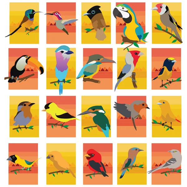 漫画のスタイルで鳥と大きなベクトルセット 鳥とのベクトルコレクションはカラフルな背景 — ストックベクタ