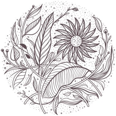 Suluboya Tilki Sanat Koleksiyonu