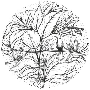 Yetişkinler için boyama sayfası - kuş kelebeği bahar mandala