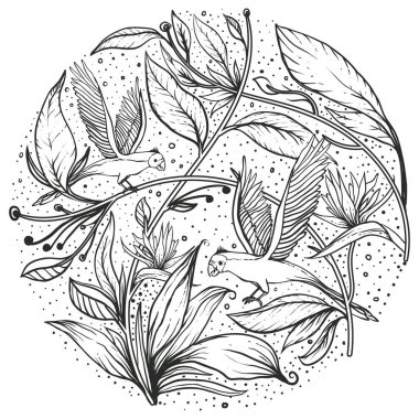 Yetişkinler için boyama sayfası - kuş kelebeği bahar mandala