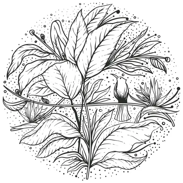 Yetişkinler için boyama sayfası - kuş kelebeği bahar mandala