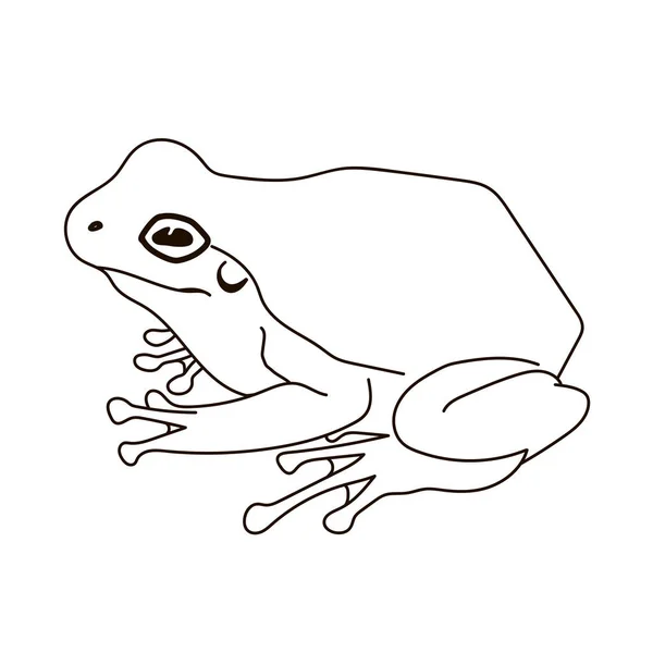 カエルのシルエットベクトル画像 — ストックベクタ