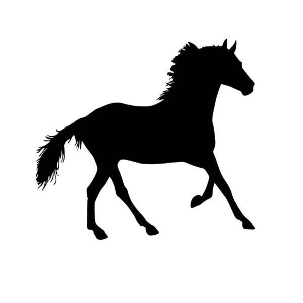Cheval Silhouette Noire Illustration Vectorielle — Image vectorielle