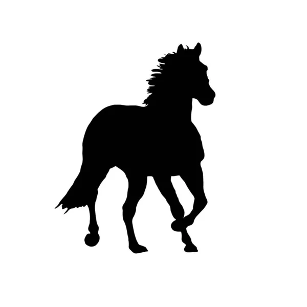 Cheval Silhouette Noire Illustration Vectorielle — Image vectorielle
