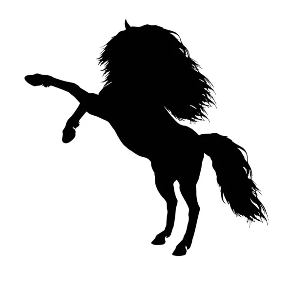 Cheval Silhouette Noire Illustration Vectorielle — Image vectorielle