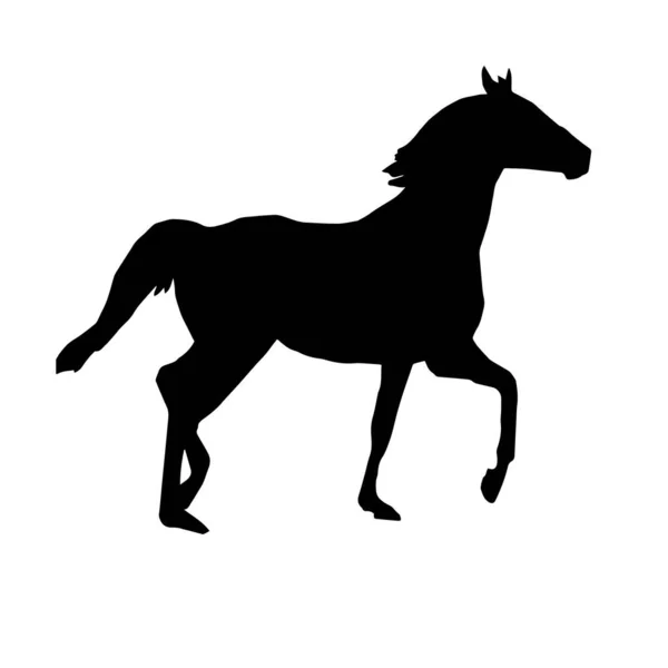 Häst Svart Silhuett Vektor Illustration — Stock vektor