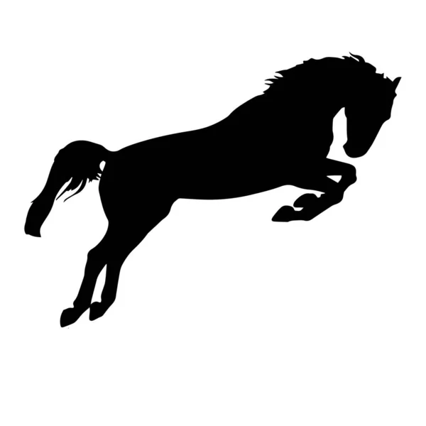 Άλογο Μαύρο Σιλουέτα Διάνυσμα Εικονογράφηση — Διανυσματικό Αρχείο