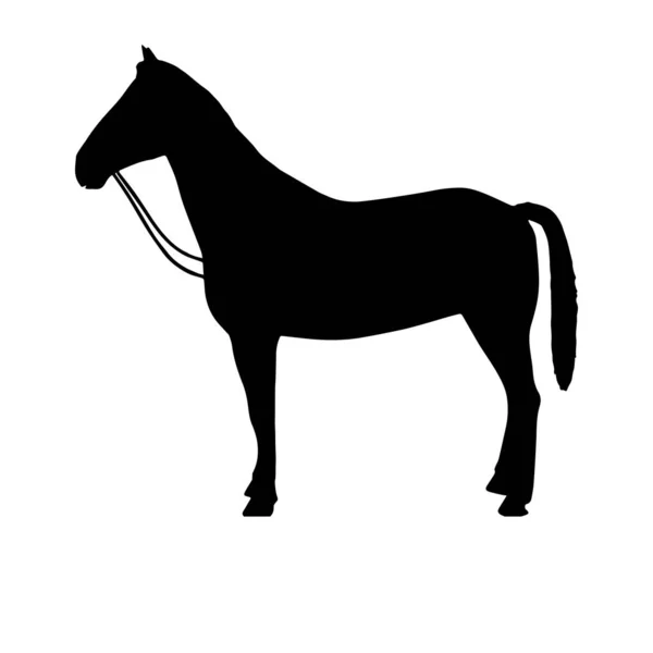 Häst Svart Silhuett Vektor Illustration — Stock vektor